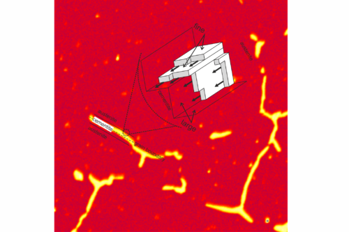 EPMA analysis of hypereutectoid steel