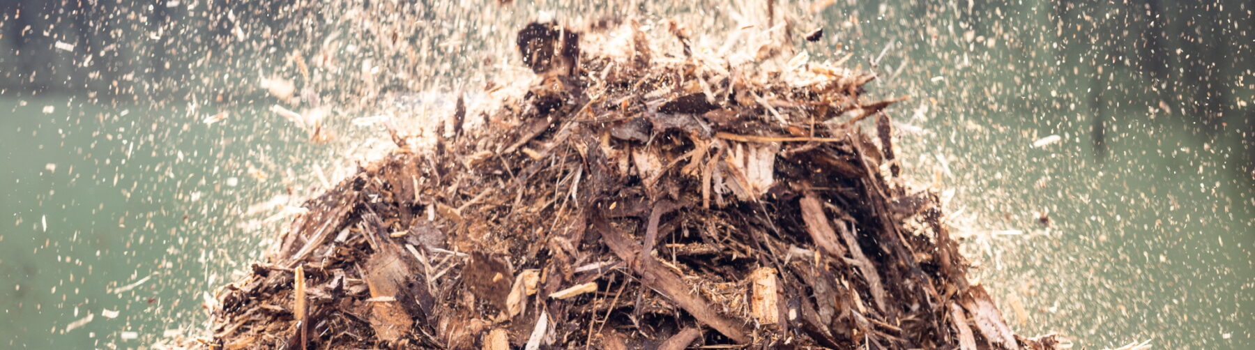 A pile of sawmill by-products on which even more fall
