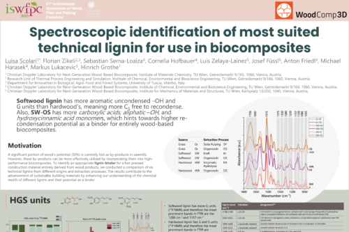 Screenshot of a scientific conference poster