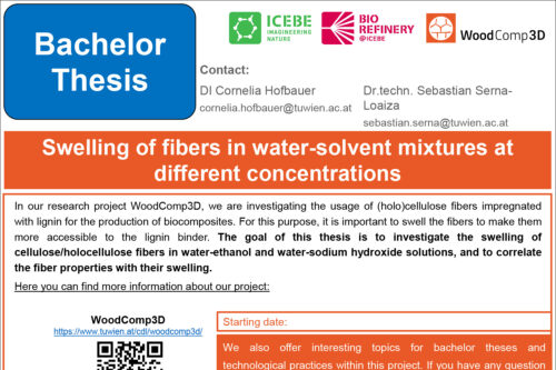 Screenshot of ICEBE Bachelor thesis announcement