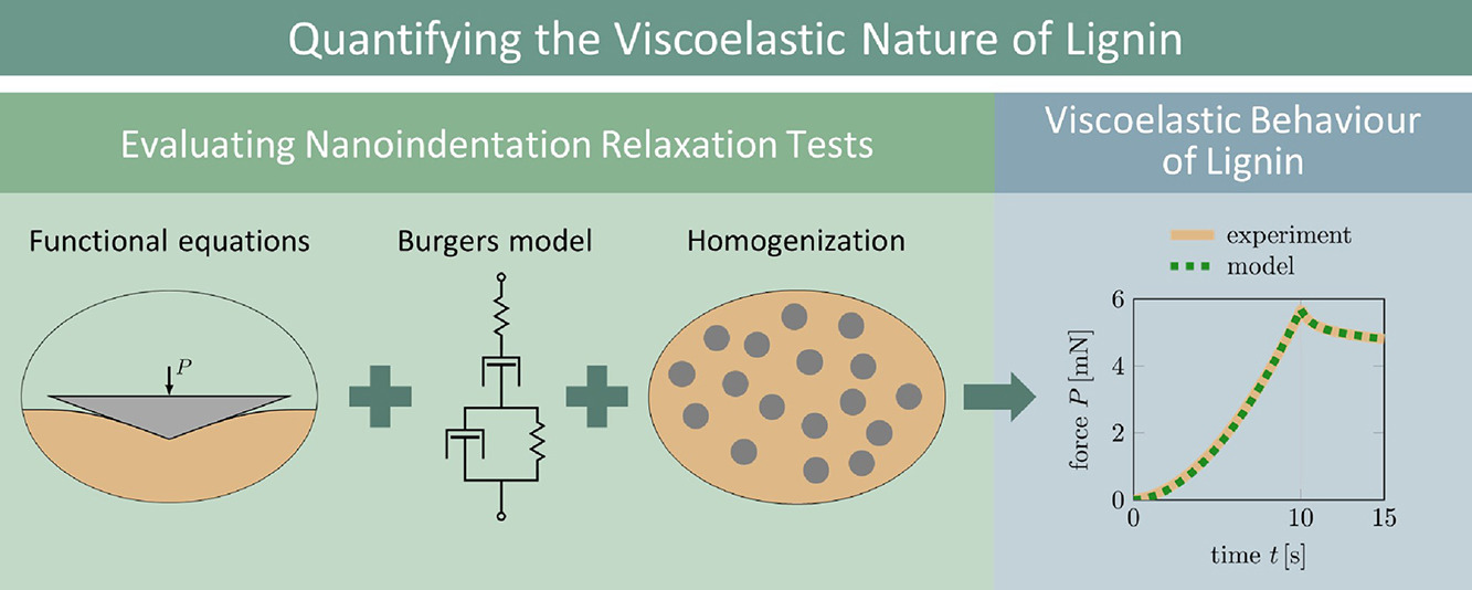 Graphical abstract for publication on viscoelastic properties of lignin