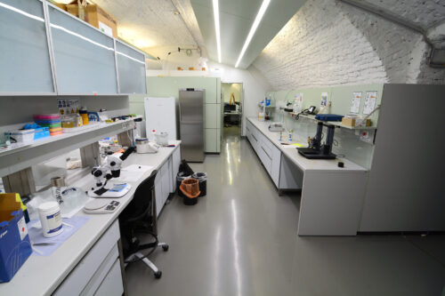 Picture of the MMLAB Karlsplatz
