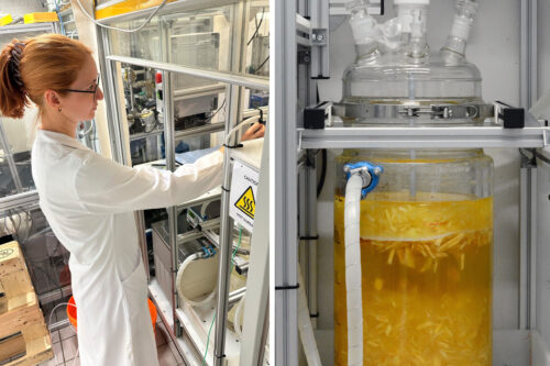 Cornelia Hofbauer operating the custom glass reactor used for peracetic-acid pulping