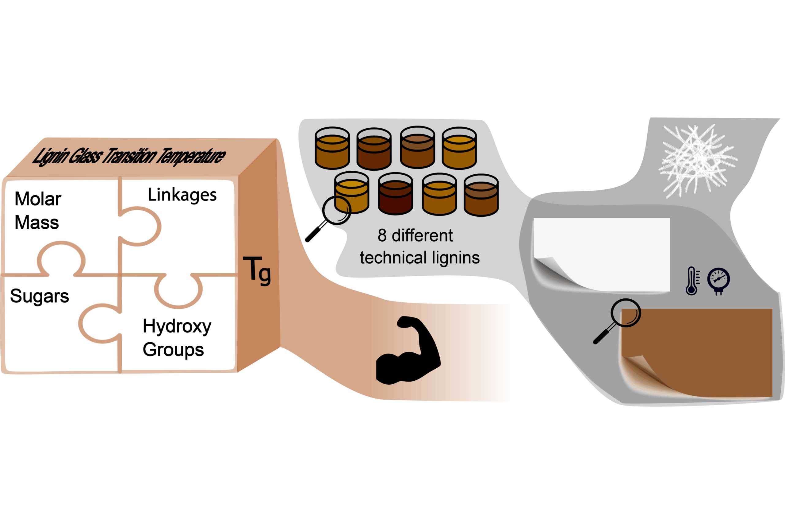 Graphical abstract of publication