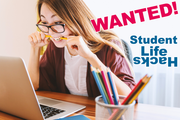 Bild zeigt Studentin vor dem Notebook