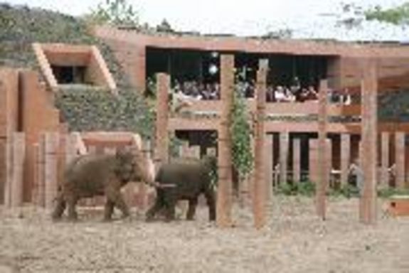 Überprüfung des Elefantenhauses im Tiergarten Schönbrunn