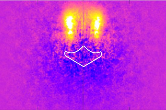 Momentaufnahme der Dichte eines geteilten Elektron-Wellenpakets nach Auftreffen auf eine elektrostatische Linse.