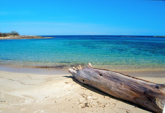 Auch Sandstrände sind wichtige schützenswerte Lebensräume. (Copyright: BeNatura)