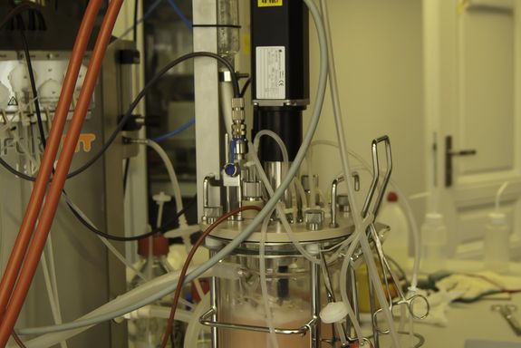 Bioreaktor im Einsatz im Labor.