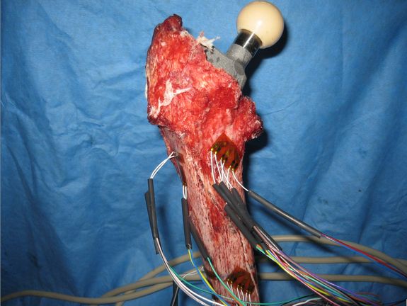 Ordensfrau Marie Catherine Kingbo