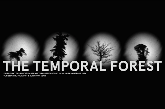 Schwarzer Hintergrund mit weißen Punkten, in denen jeweils ein Baum zu sehen ist. Schwarz/weiß-Bild. Schrift Mitte-unten: "THE TEMPORAL FOREST"