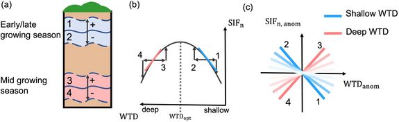 Wasserstressmodel für nördliche Moorgebiete
