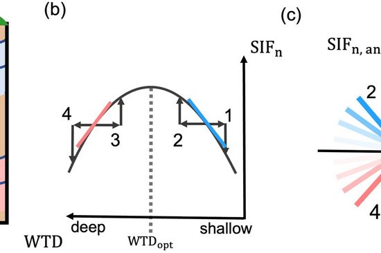 Water stress model for Northern peatlands