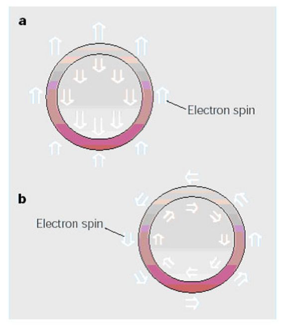 Abb. 2:(a) Spinstruktur eines einfachen Supraleiters mit Inversionszentrum. Spins können nur in einer der beiden Richtungen oder orientiert sein. Im formen Spins entweder keinen Spin-Singlet Zustand (z.B. ¯) oder ein Spin-Triplett Zustand (z.B. ).(b) Fehlendes Inversionszentrum: Spins können um die Phasenraumoberfläche rotierten (im und gegen den Uhrzeigersinn). Die Cooperpaar-Wellenfunktion besteht dann aus einer Mischung von Spin-Singlet und Spin-Triplett Zuständen.