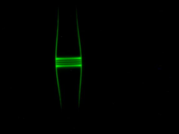 In einer Glasfaser - etwa halb so d In einer Glasfaser - etwa halb so dick wie ein menschliches Haar - läuft Licht auf einer Spiralbahn um deren Achse. Dabei kann das Licht entlang der Glasfaser nicht entkommen, weil deren Durchmesser zu beiden Seiten abnimmt. So wird das Licht gefangen und bleibt für eine Zeit gespeichert.