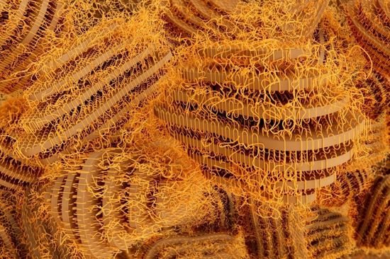 Microscopic polymer structures