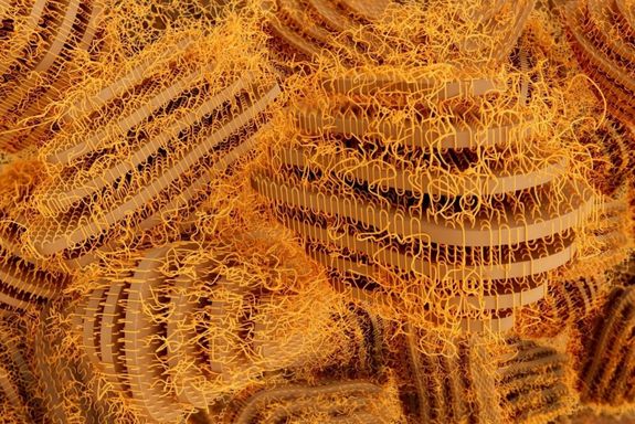 Mikroskopische Polymer-Strukturen 