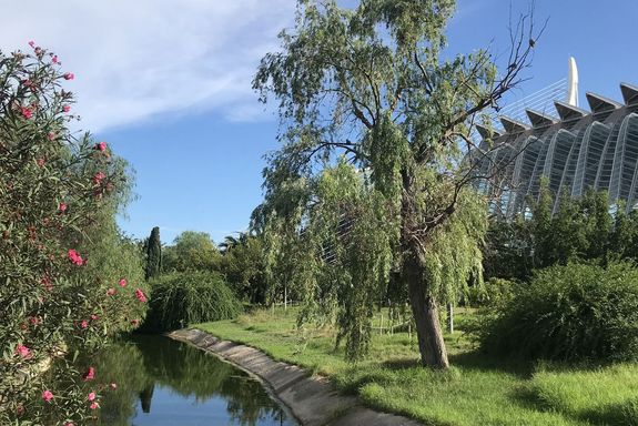 Park
