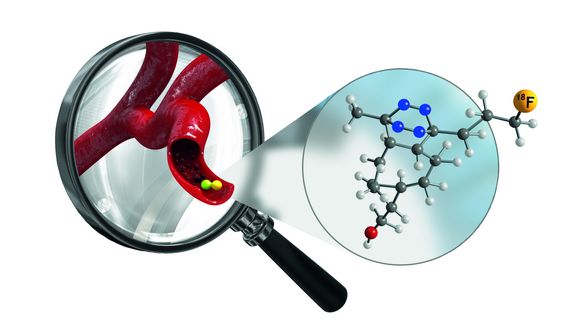 Tetrazine reagieren selektiv, selbst in komplexen Systemen wie lebendigen Organismen