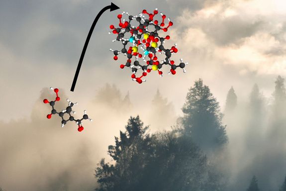 Moleküle vor dem Hintergrund eines Waldes