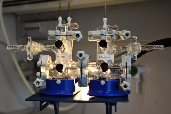 Structure of the electrochemical cell