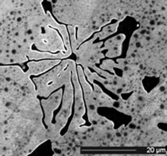 2D und 3D rasterelektronenmikroskopische Aufnahmen eines "chinese script" Mg2Si –Teilchens in einer Aluminiumlegierung.