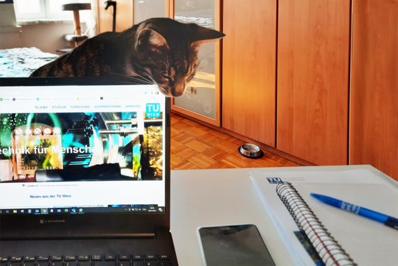 Cat on a homeoffice-desk