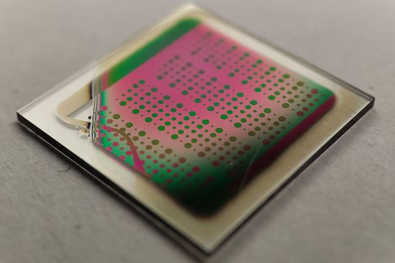 Rechteckiger Chip mit zahlreichen runden Flecken