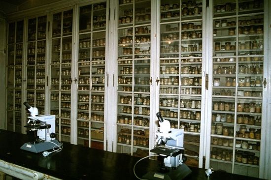 hohe Kästen mit Exponaten der Sammlung