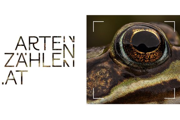 Arten zählen