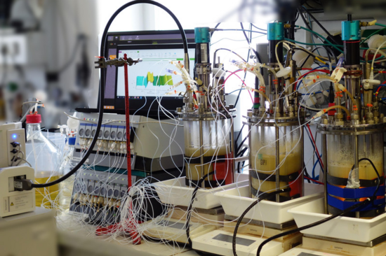 [Translate to English:] 