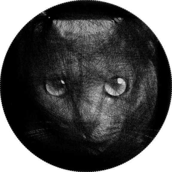 Eines der Resultate: Eine Katze