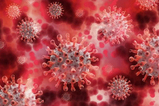 microfluidic sensing system for virus detection