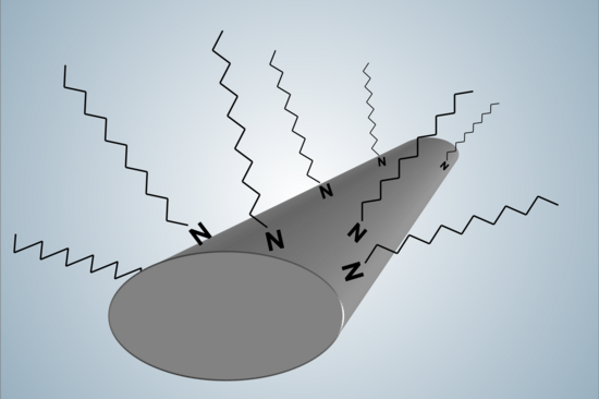 Platin „Nanowire“