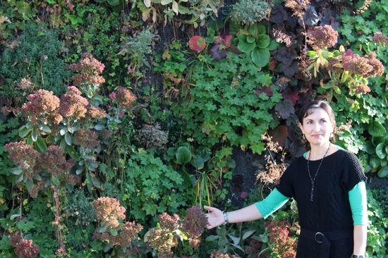 Prof. Azra Korjenic vor einer üppig und heterogen bepflanzten vertikalen Begrünung.