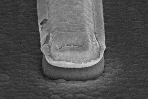 schwarz-weiß Bild, Micrograph-Aufnahme