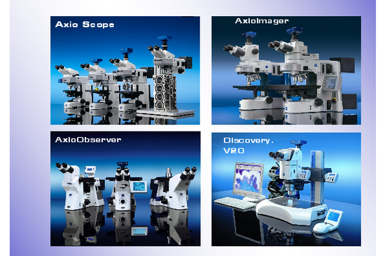 Vernakulare Moderne (Copyright transcript)