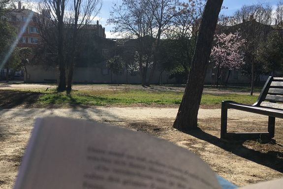 [Translate to English:] Park