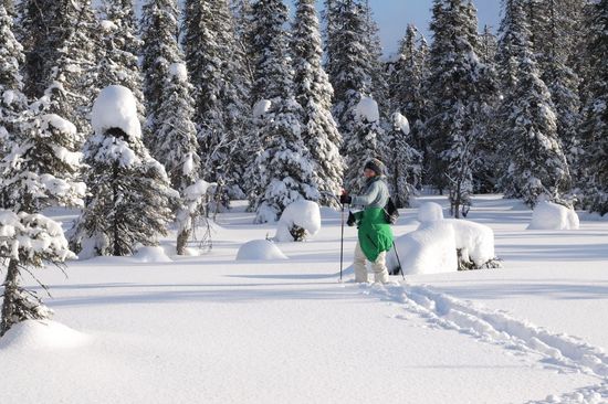 snowshoe hike