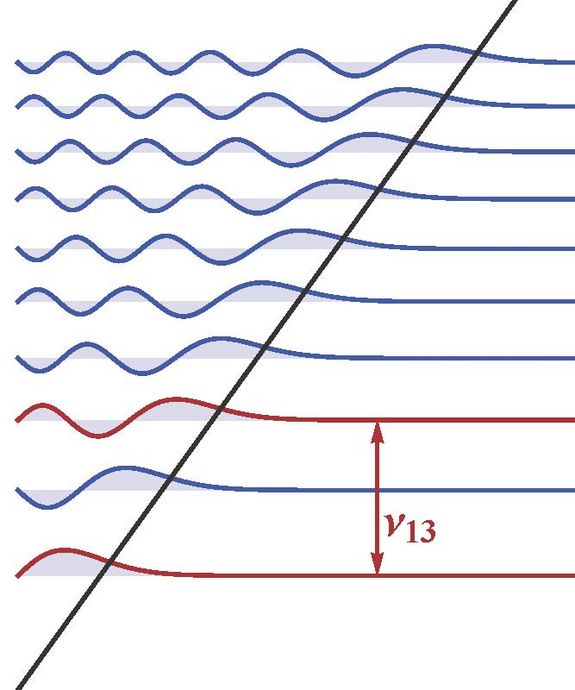 Energy differences between quantum states have been measured for a long time, but the differences between quantum states which appear due to gravitation are a million millions smaller than the large energy gaps in atoms. Energy differences between quantum states have been measured for a long time, but the differences between quantum states which appear due to gravitation are a million millions smaller than the large energy gaps in atoms.