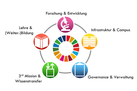 Eine Grafik mit einem Kreis an dem die fünf Handlungsbereiche zur Nachhaltigkeit platziert sind. 