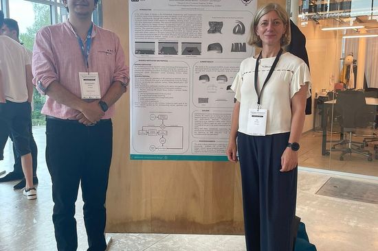 Präsentation S.Rasoulzadeh ETH Zürich