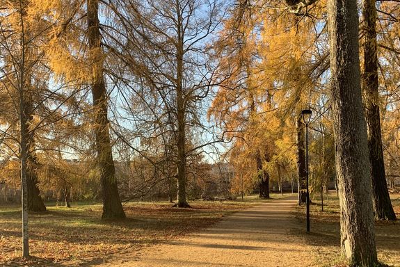 Park im Herbst