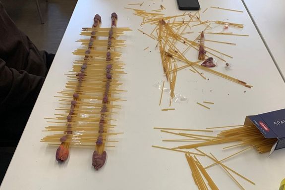 Brücke aus Spaghetti