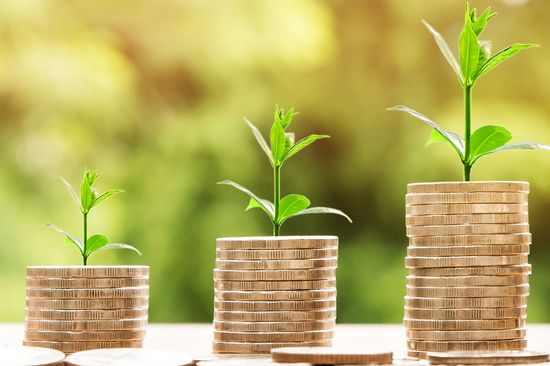 3 verschieden hohe Stapel von Münzen, dahinter Stecklinge, in einer naturverbundenen Kulisse.