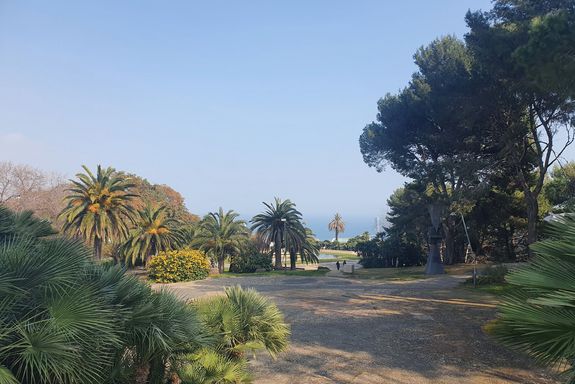 Park