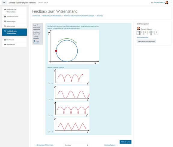 Feedback zum Wissensstand Beispiel eines Feedbacks zum Wissensstand der Studien-VoR-Phase