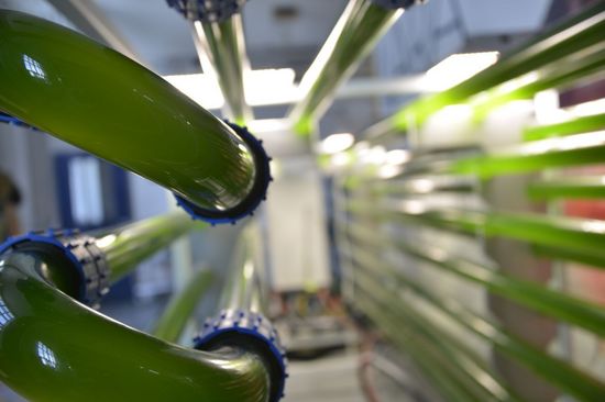 Rohre mit grüner Flüssigkeit