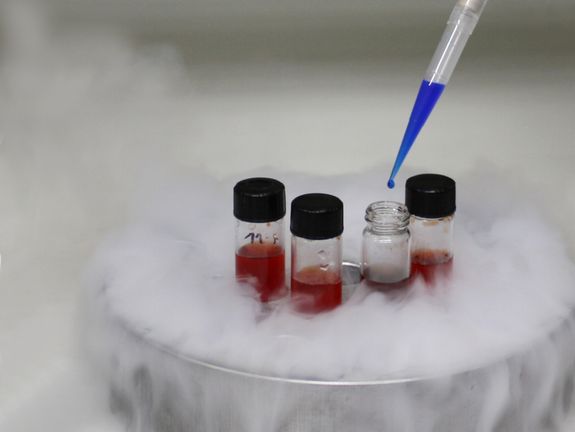 Im Labor der Forschungsgruppe "Health and Environment" (Institut für Angewandte Synthesechemie, TU Wien)