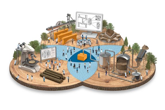Infografik WoodComp